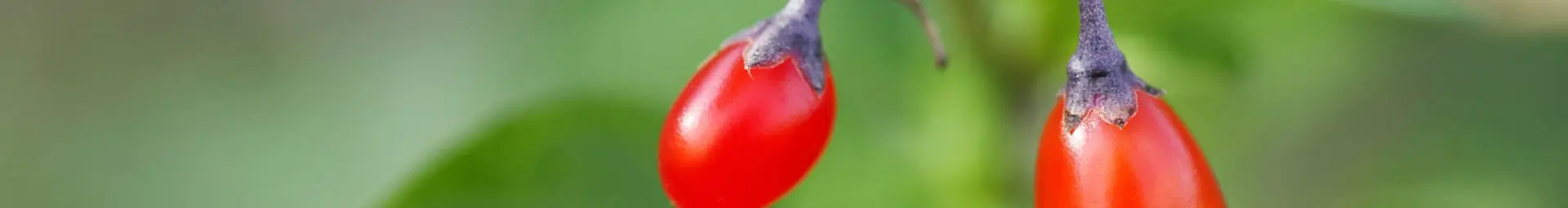 Sinri IP67 Waterproof Breathable Pressure Valve Breather ECU protective vent snap fit vent plug